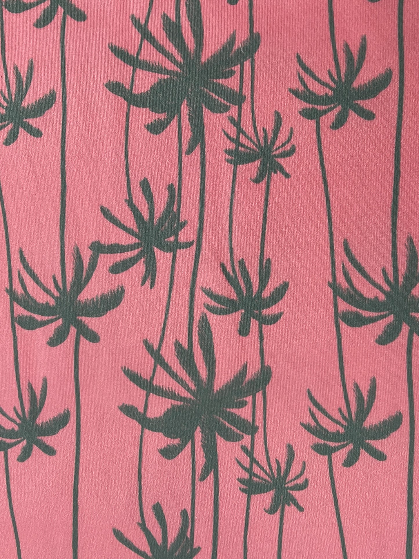 Sunset Palms